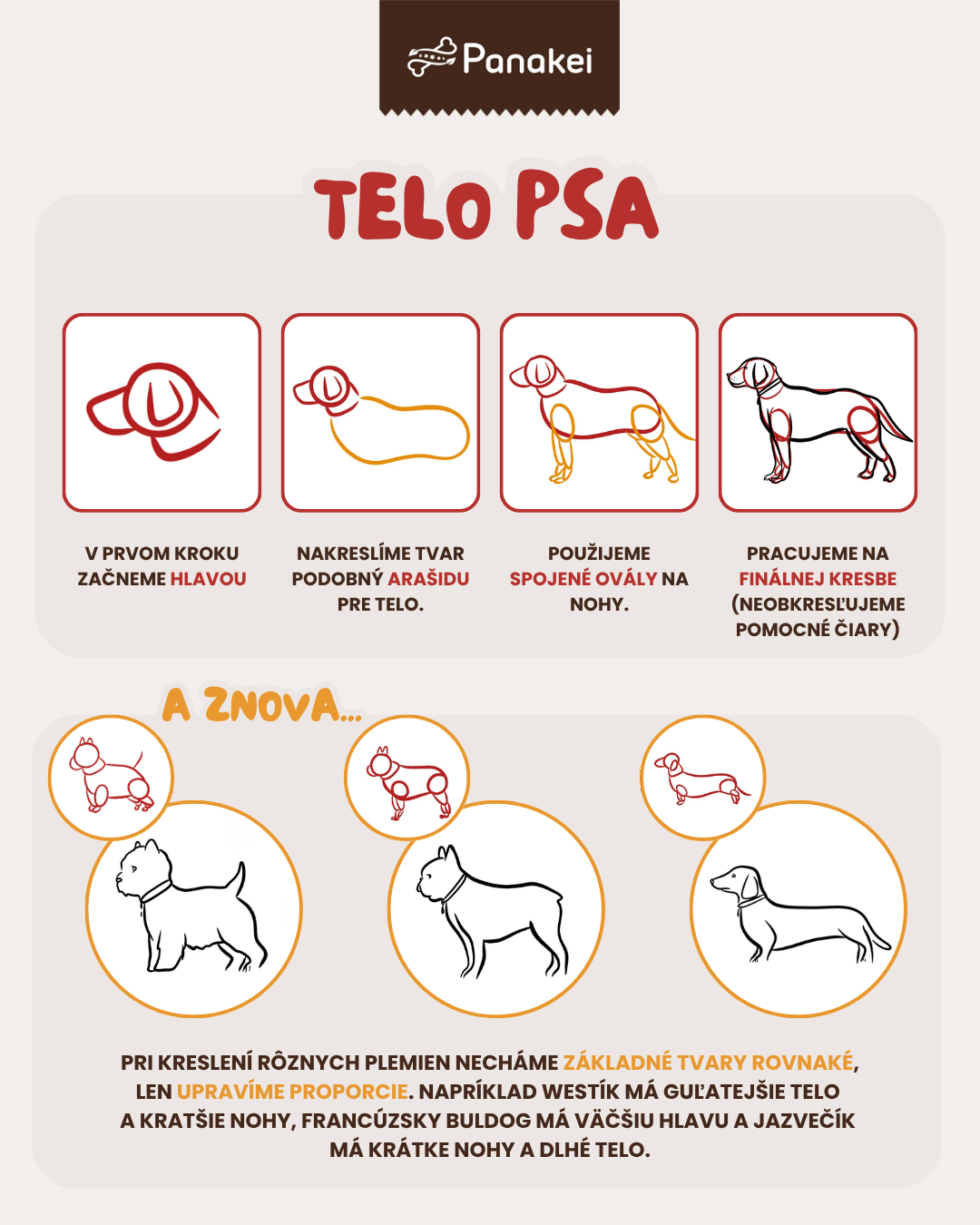 Ako nakresliť telo psa